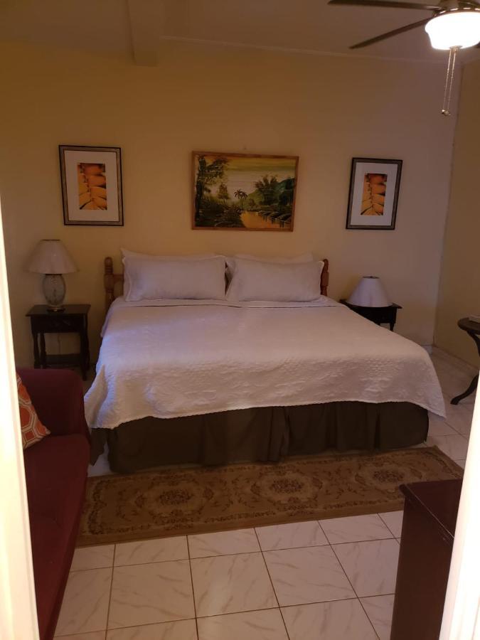 Vila Cliffe Ranch Mandeville Exteriér fotografie