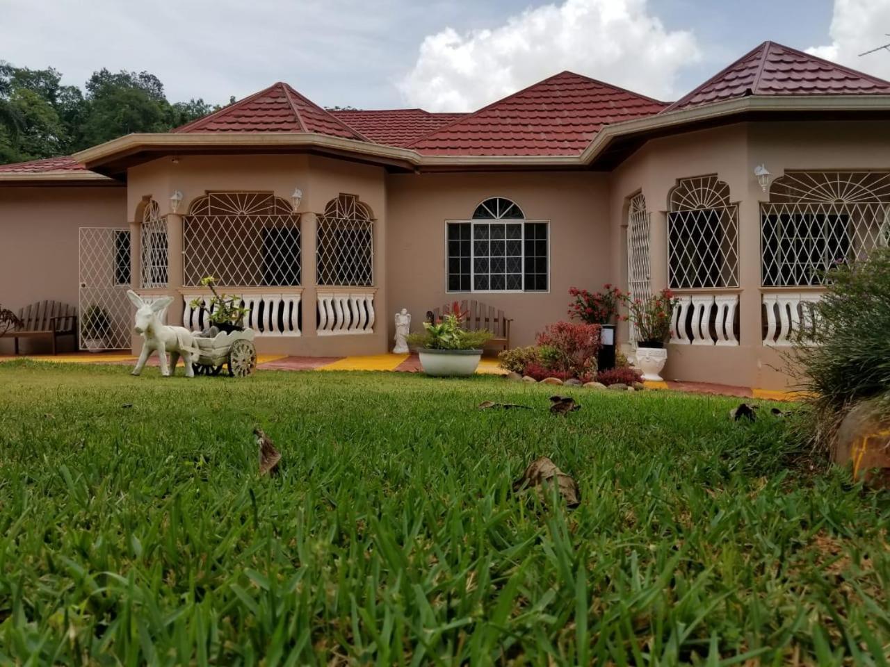 Vila Cliffe Ranch Mandeville Exteriér fotografie