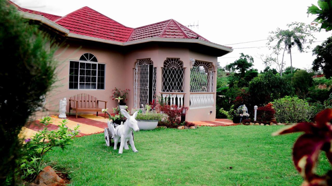 Vila Cliffe Ranch Mandeville Exteriér fotografie