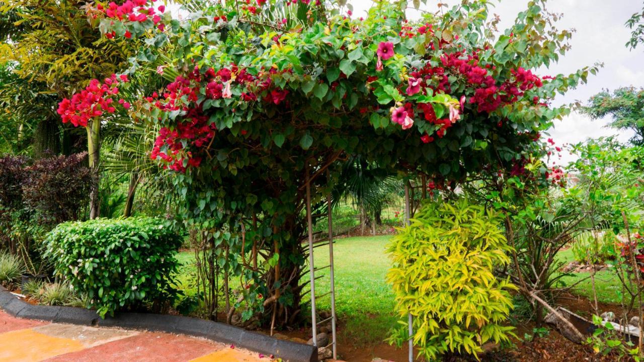 Vila Cliffe Ranch Mandeville Exteriér fotografie